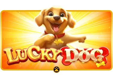 sllts ပလက်ဖောင်း Myanmar Slots Casino Sportsbook MMK ငွေပေးချေမှု Interface
